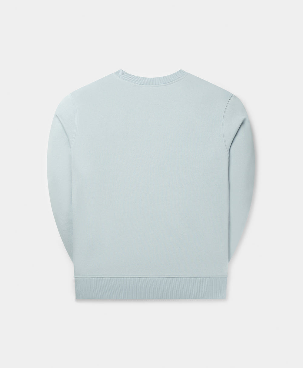 DP - Subdued Blue Orbit Sweater - Packshot - rear